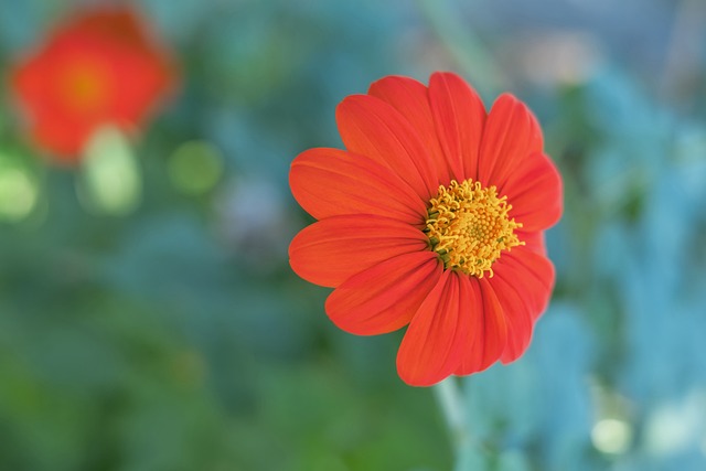 凭借他们的 凭借他们的