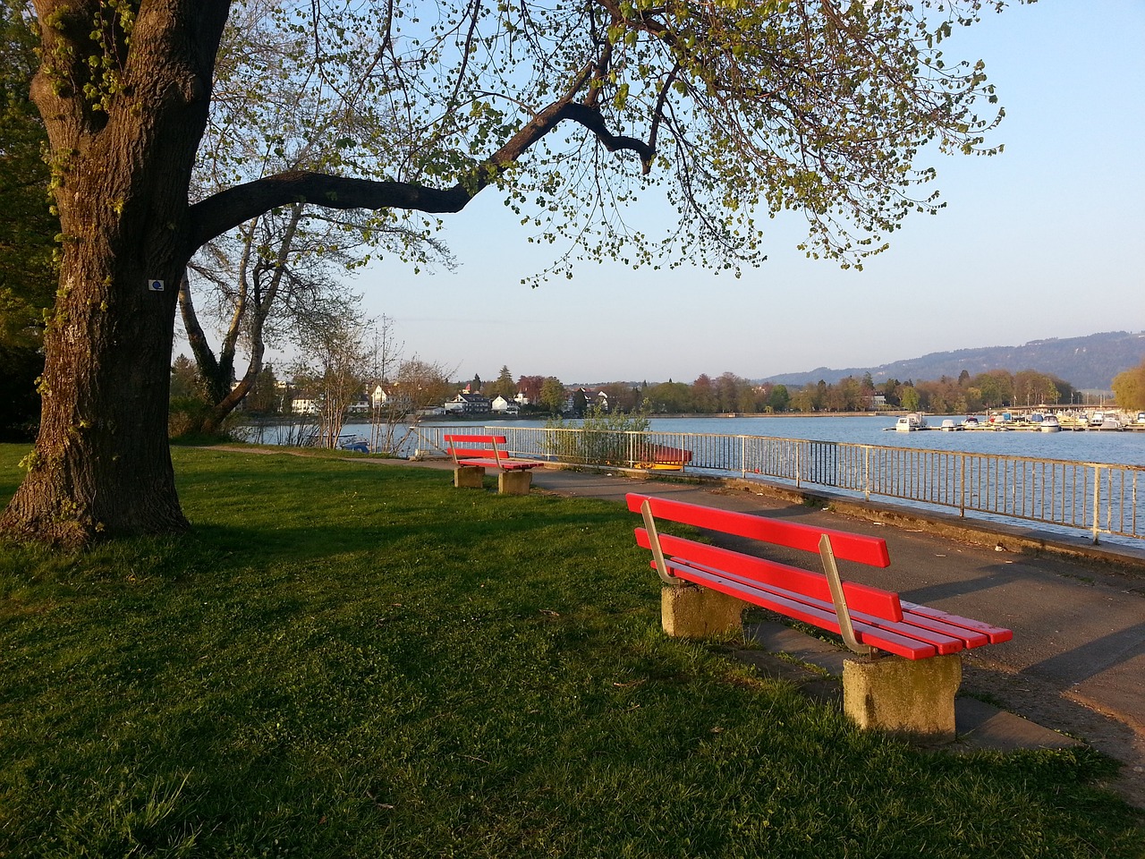 不仅如此 不仅如此