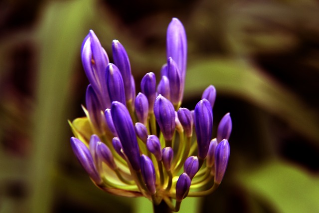 在防守端更 在防守端更