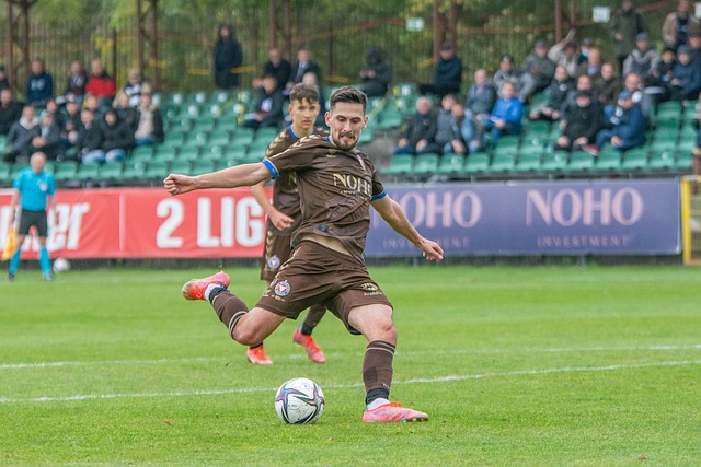 的国际交流 的国际交流